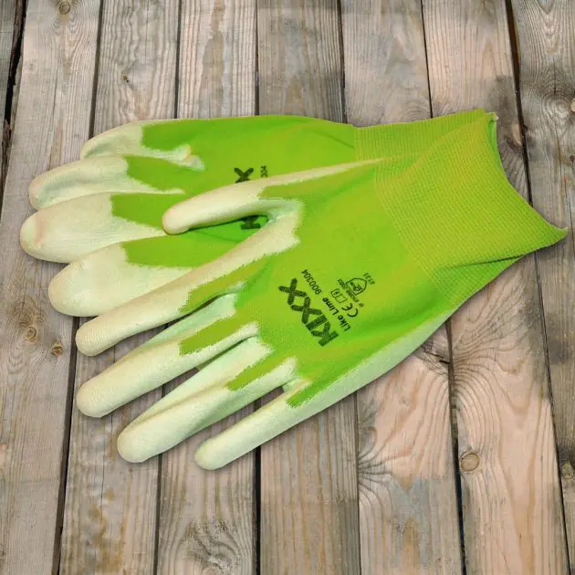 Like-Lime-900303.jpg