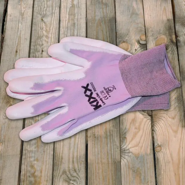 Lovely-Lilac-900252.jpg
