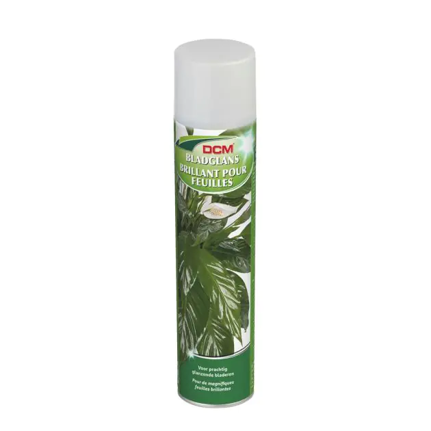 Bladglans 400ml.jpg