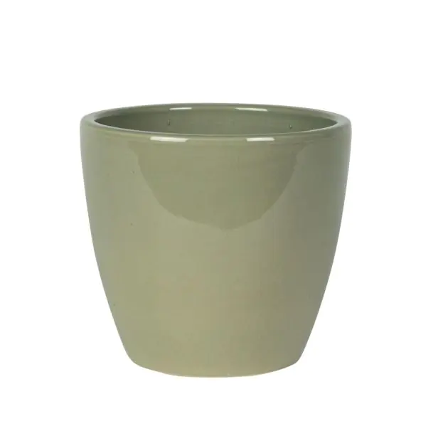 165868 Swen Glazed