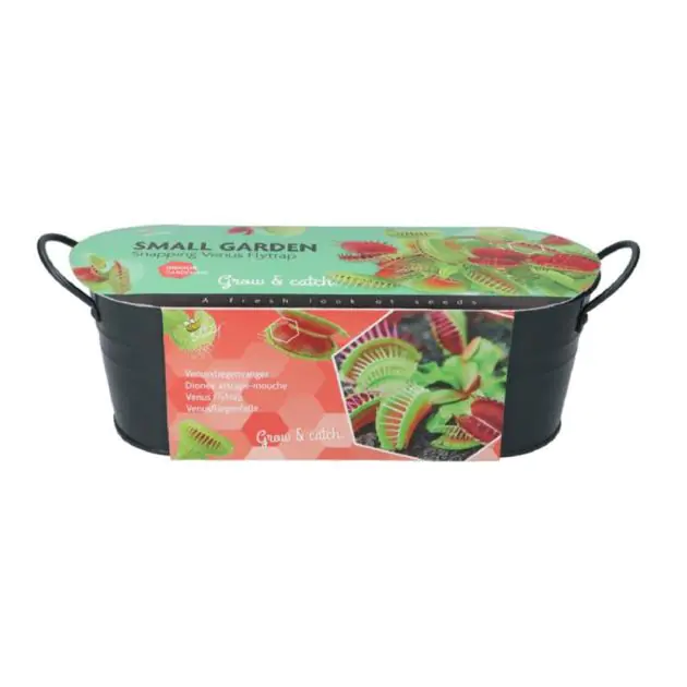 Venus flytrap 085456
