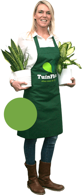 chica de atención al cliente del centro de jardinería